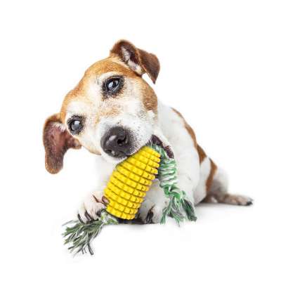 Corn sticks Dog Toys Toothbrush Stick Molar Stick Chewbrush Puppy Chew Toys Interactive Teeth Cleaning Toy for Pets