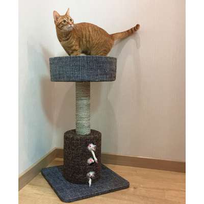 Small Cat Jumping Platform Climbing Frame Litter Toy  Scratching Post And Hammock